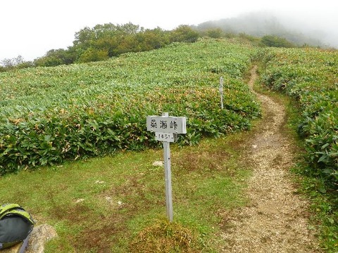 IMGP4657