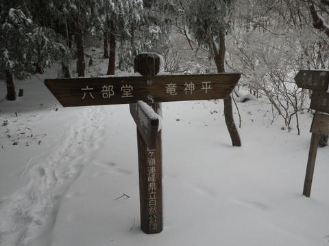 IMGP3983