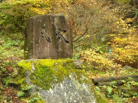 IMGP4783