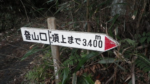 IMGP1436