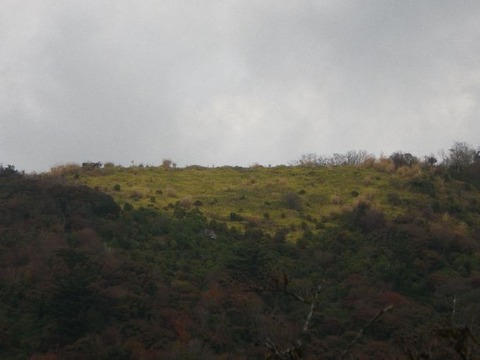 IMGP4765