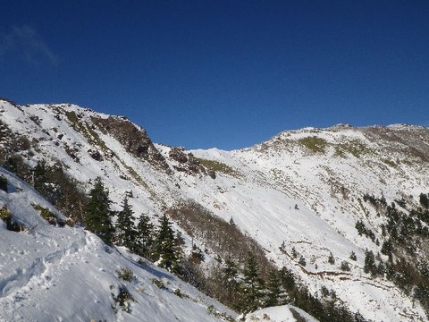IMGP4831