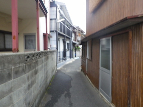 IMGP3615