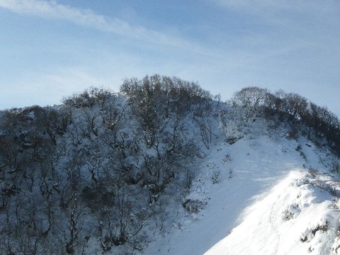 IMGP4869