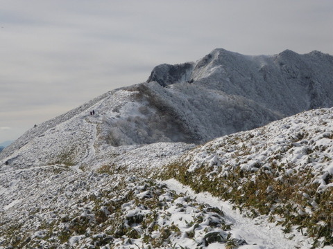 IMGP3955
