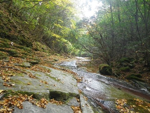 IMGP4745