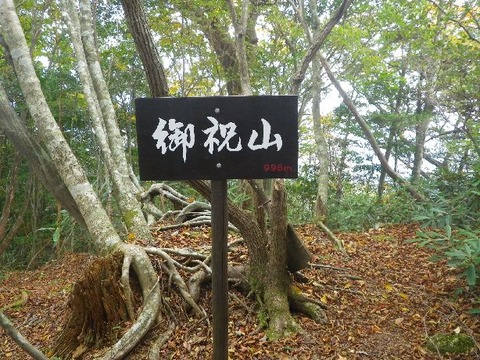 IMGP4772