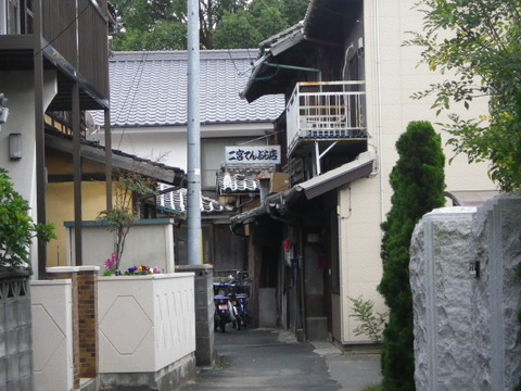 IMGP3616