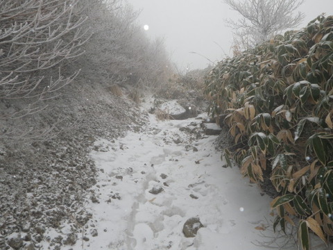 IMGP3750