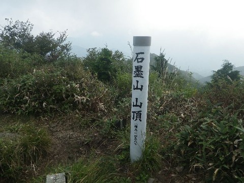 IMGP4619