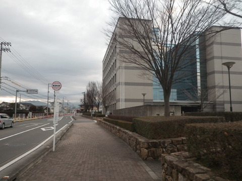 IMGP3965