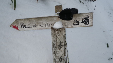 IMGP1448