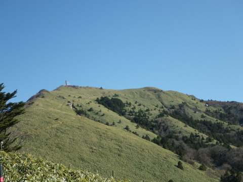 IMGP3726