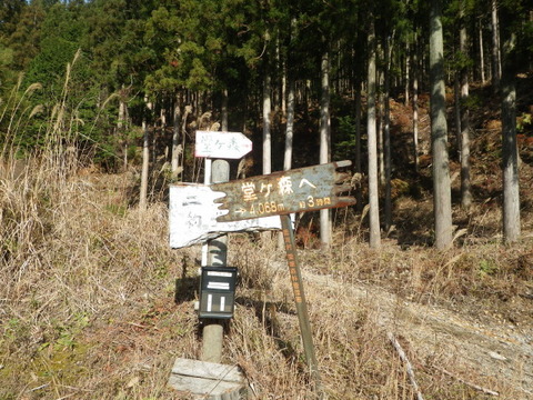 IMGP3728