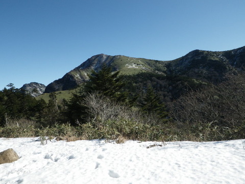 IMGP3711