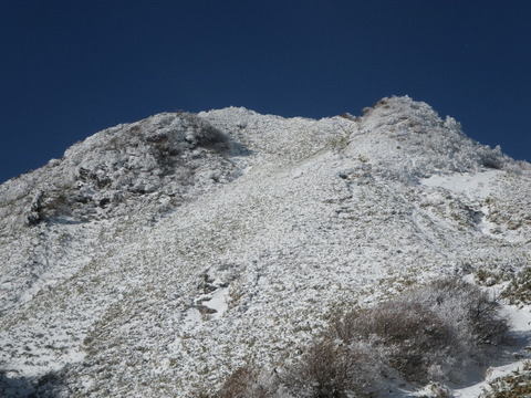 IMGP3923