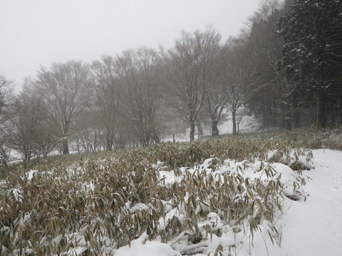 IMGP3978