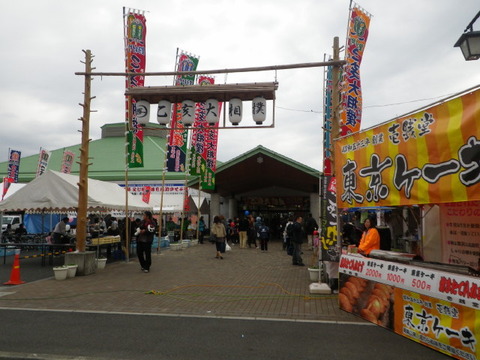 IMGP3603