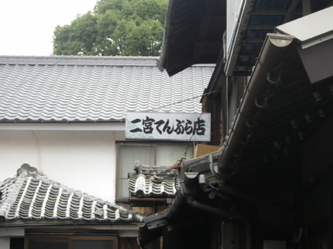 IMGP3617