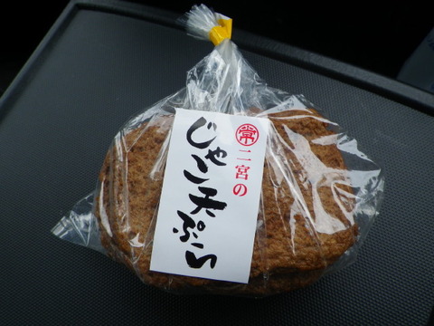 IMGP3619