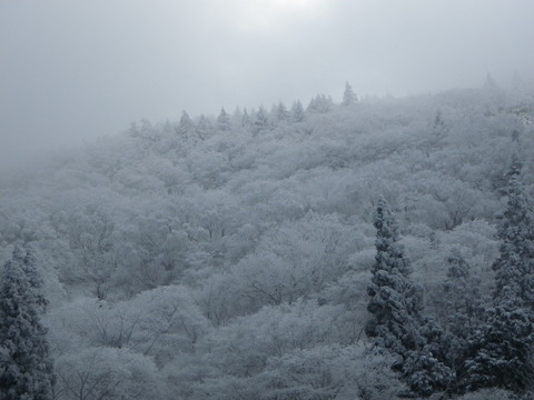 IMGP3864