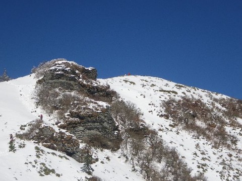 IMGP4825
