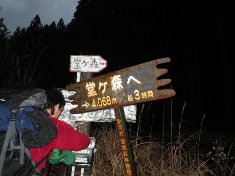 IMGP3742