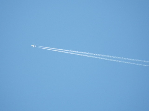 IMGP3717