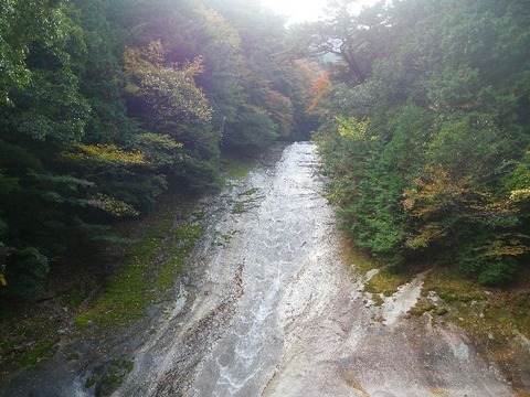 IMGP4723