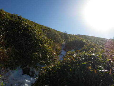 IMGP3690