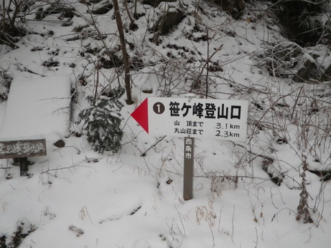 IMGP3848