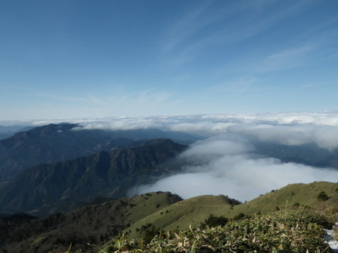 IMGP3723