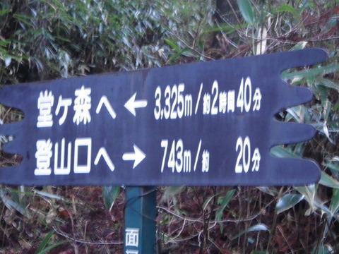 IMGP3667