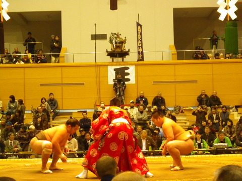IMGP3608