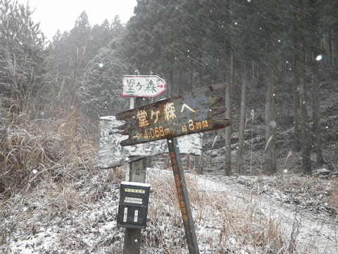 IMGP3767