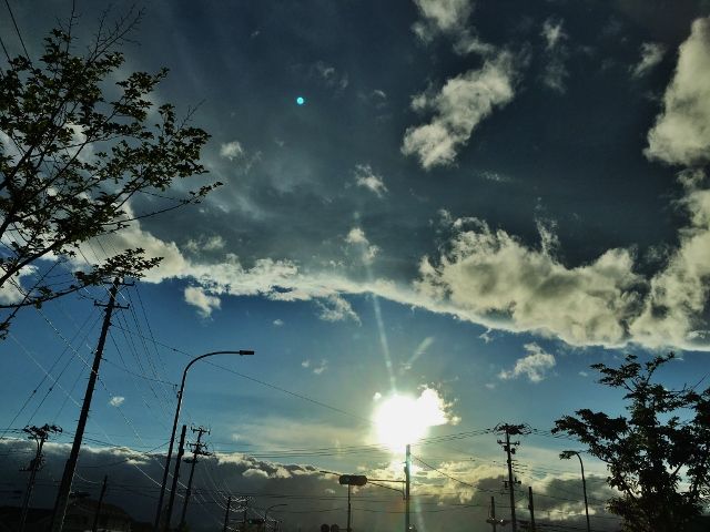 IMG_5316 (640x480)