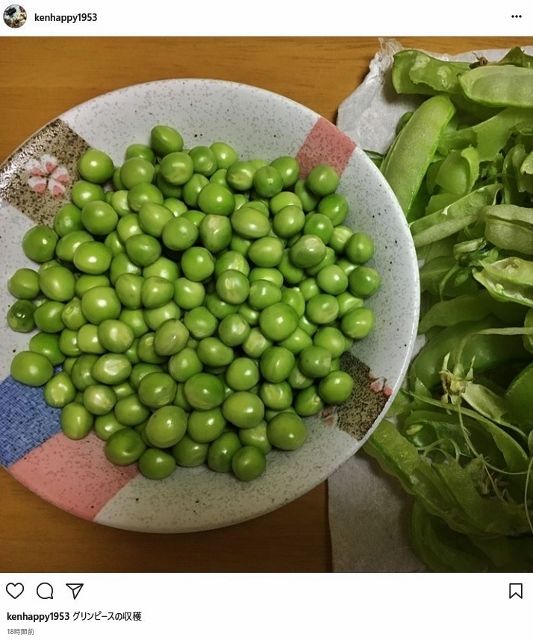 instgram6 (533x640)