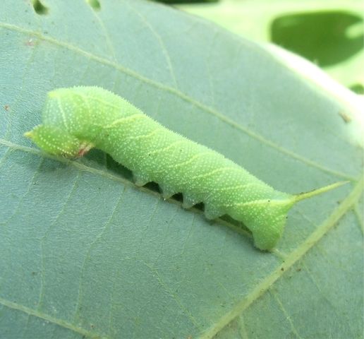 20150701121412935