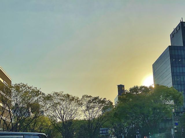 IMG_2664