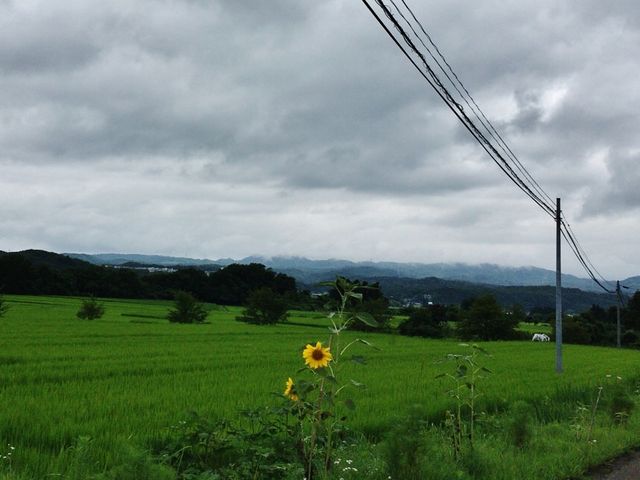 UJFU0824