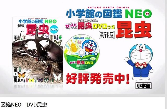 図鑑