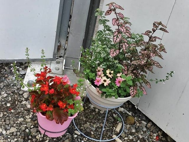 unnamed (1) (640x480)