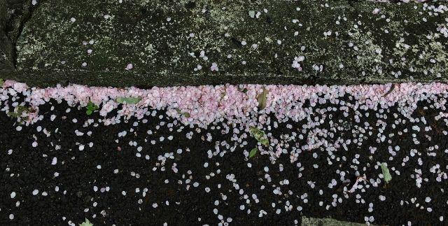 IMG_4571 (640x323)