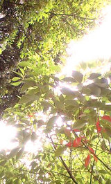 70f3a4ef.jpg