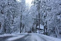 YOSEMITE