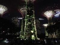Gardens by the Bay