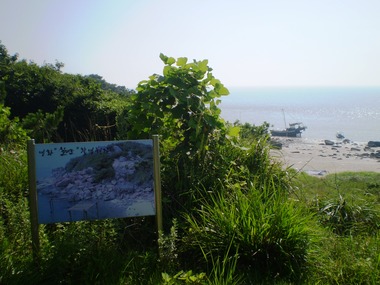 P8070289