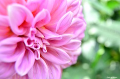 blog-7873