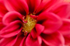 blog-7880
