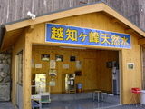 34f21d42.jpg